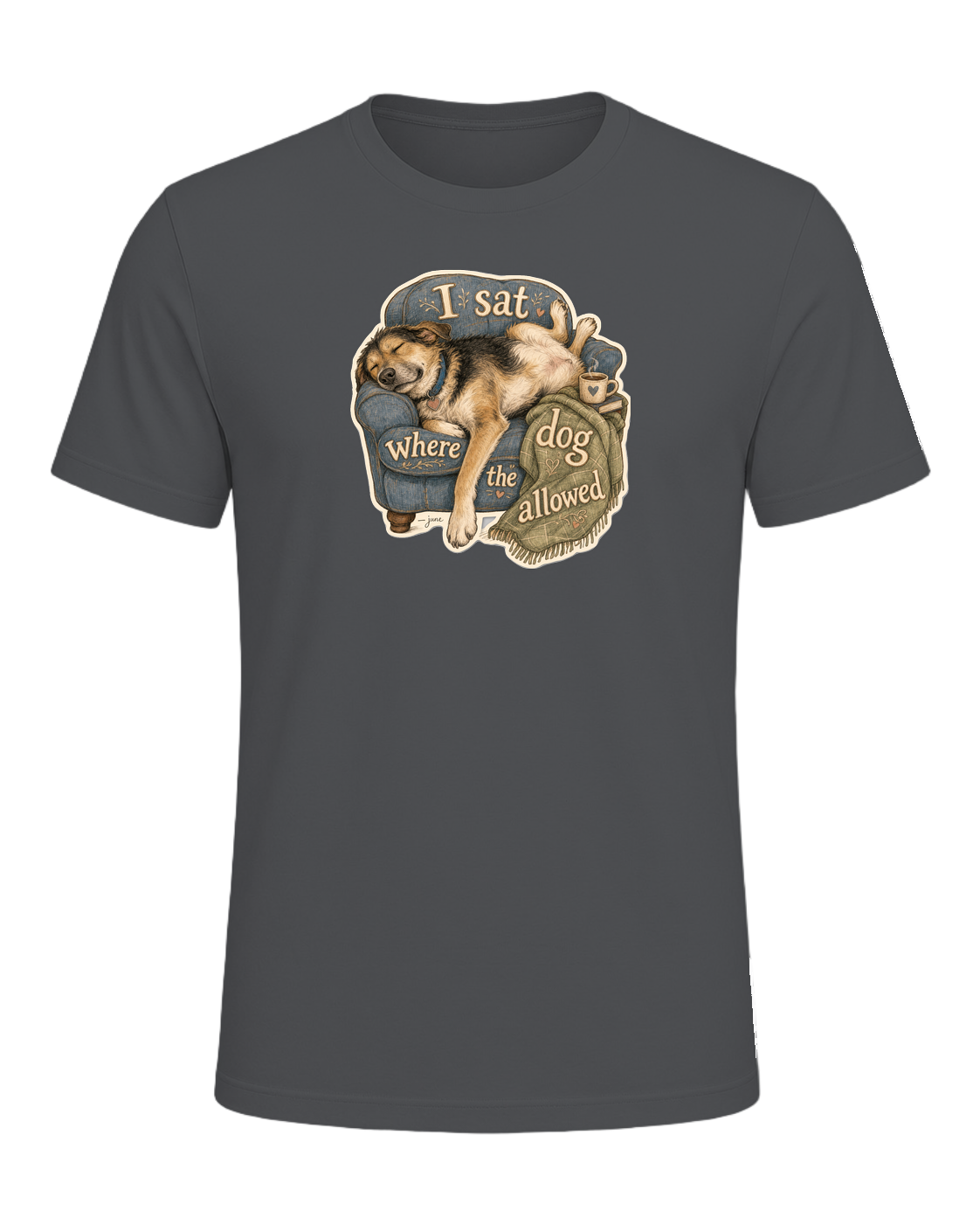 I Sat Where The Dog Allowed Tee — Asphalt