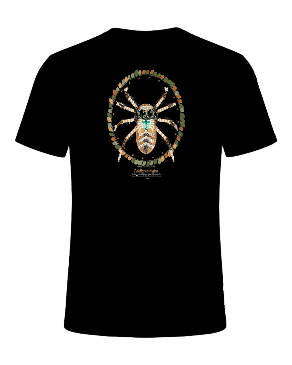 Jumping Spider Close-up Art — Black