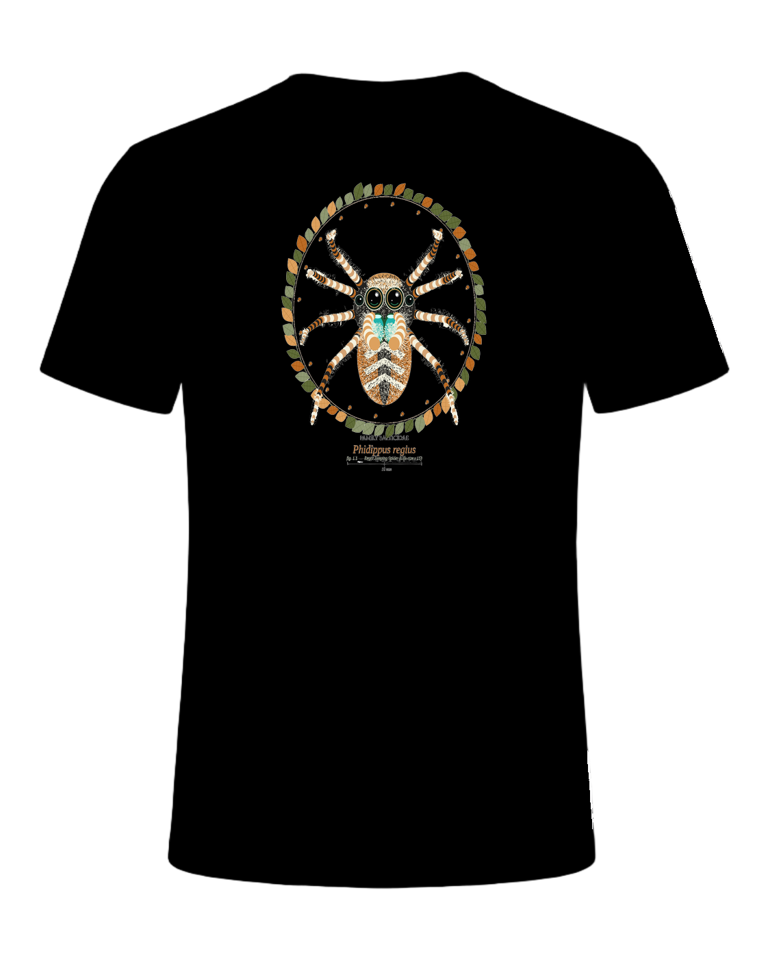 Jumping Spider Close-up Art — Black