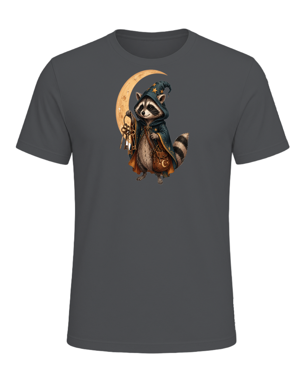 Raccoon Wizard Energy — Asphalt
