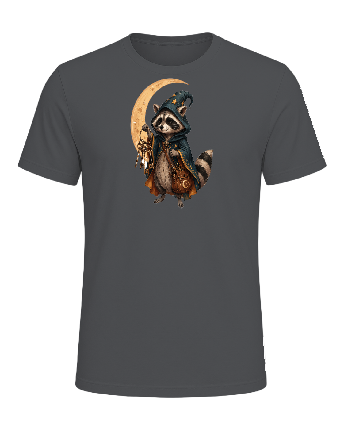 Raccoon Wizard Energy — Asphalt