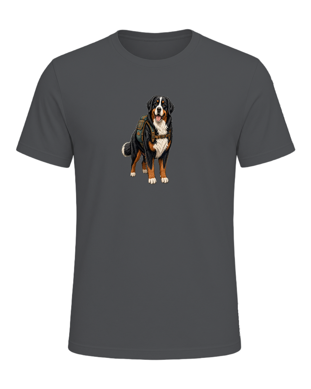 Bernese Mountain Dog Hiking — Asphalt