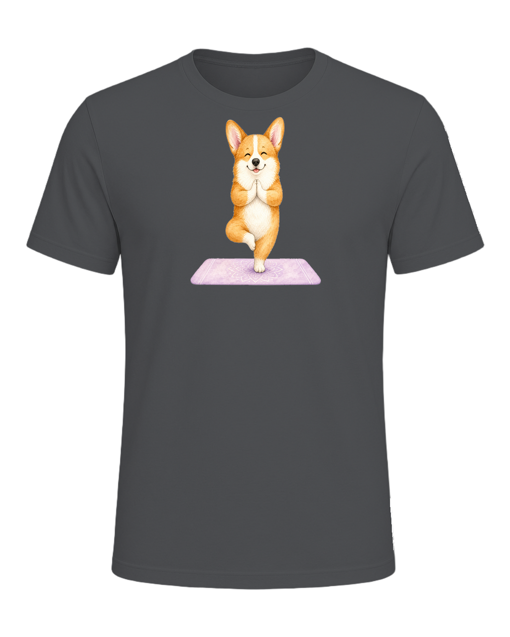 Corgi + Yoga — Asphalt