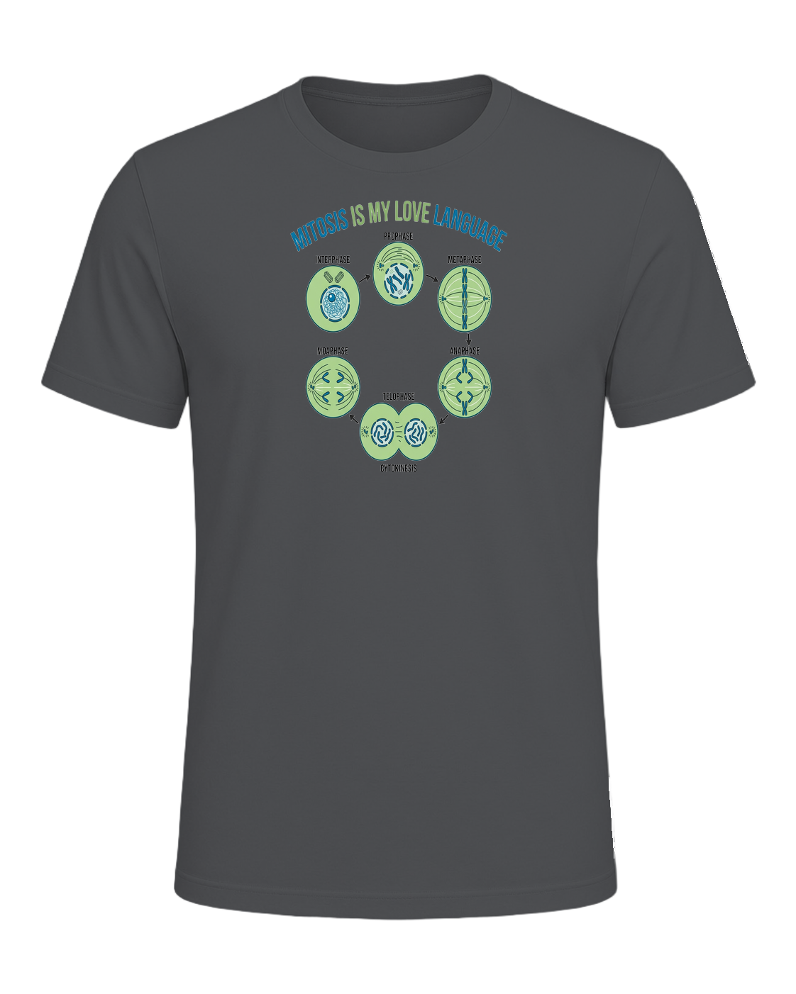 Biology Teacher — Asphalt