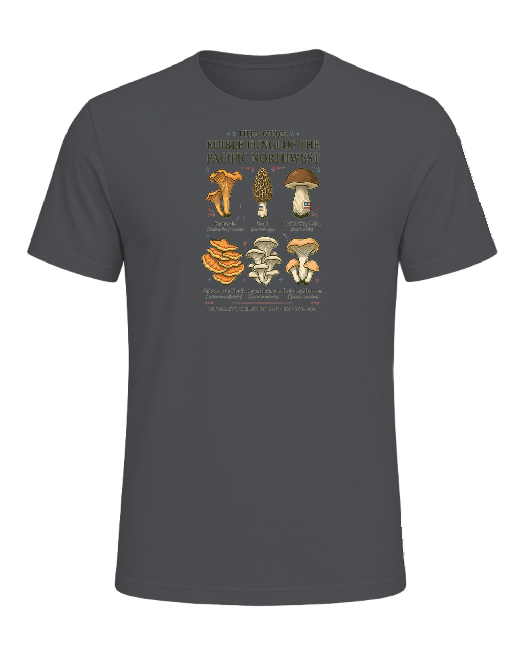 Foraging / Mushroom Hunter — Asphalt