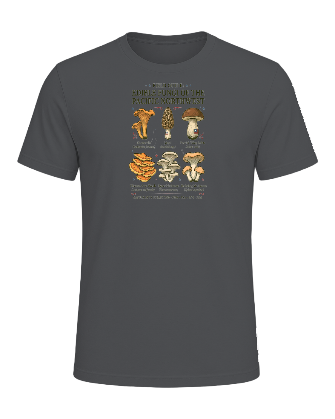 Foraging / Mushroom Hunter — Asphalt