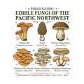 Foraging / Mushroom Hunter