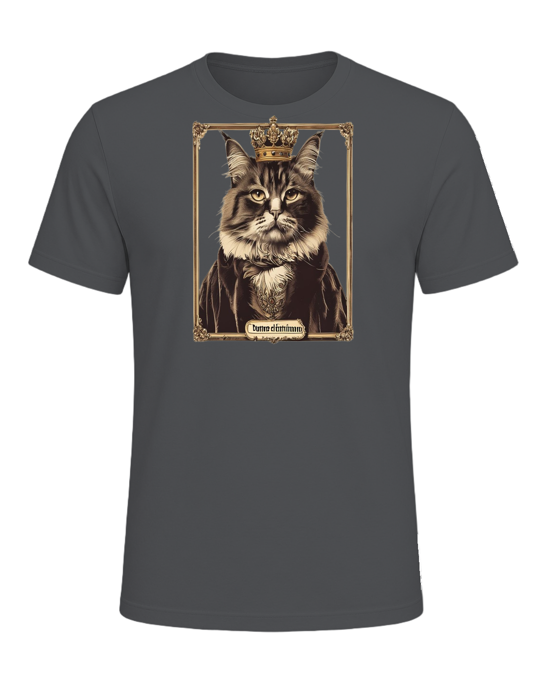 Maine Coon Royalty — Asphalt