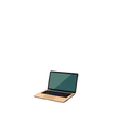 Digital Nomad