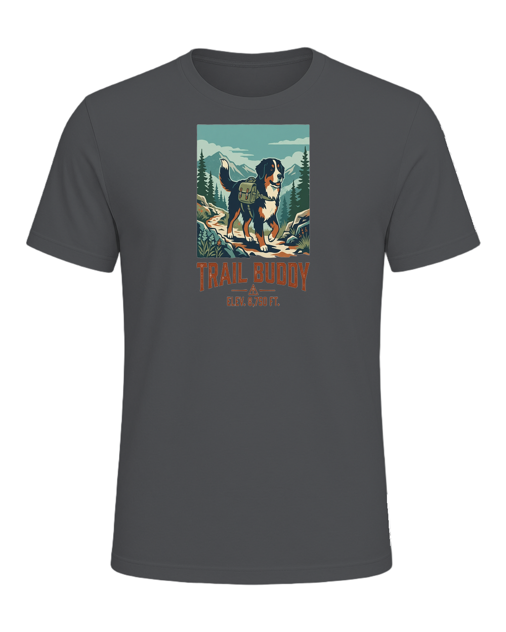 Bernese Mountain Dog Hiking — Asphalt