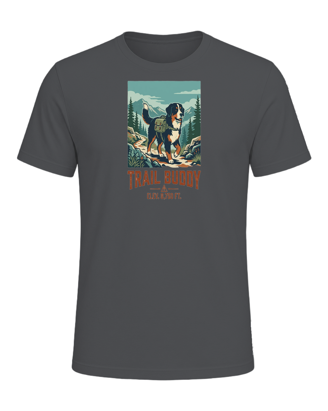Bernese Mountain Dog Hiking — Asphalt