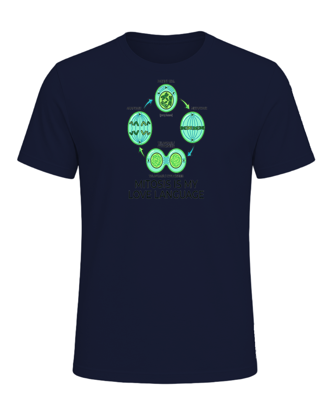 Biology Teacher — Navy