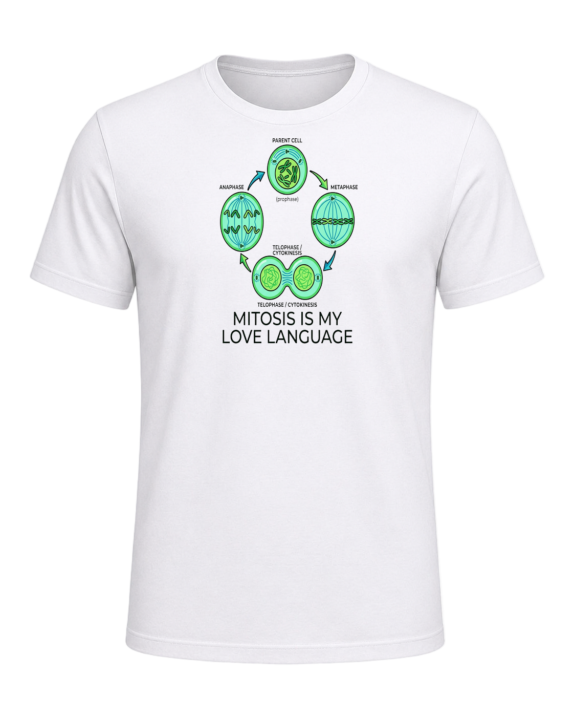Biology Teacher — White
