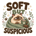 SOFT BUT SUSPICIOUS