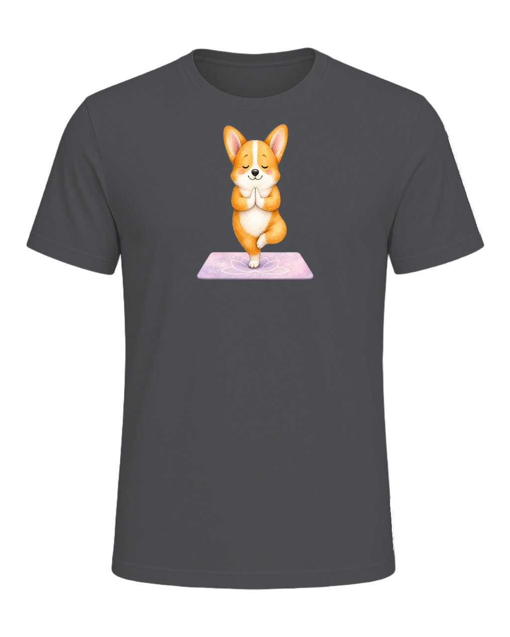 Corgi + Yoga — Asphalt