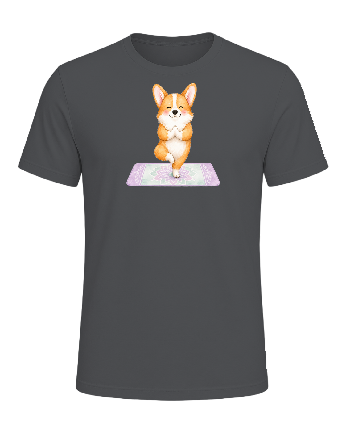 Corgi + Yoga — Asphalt
