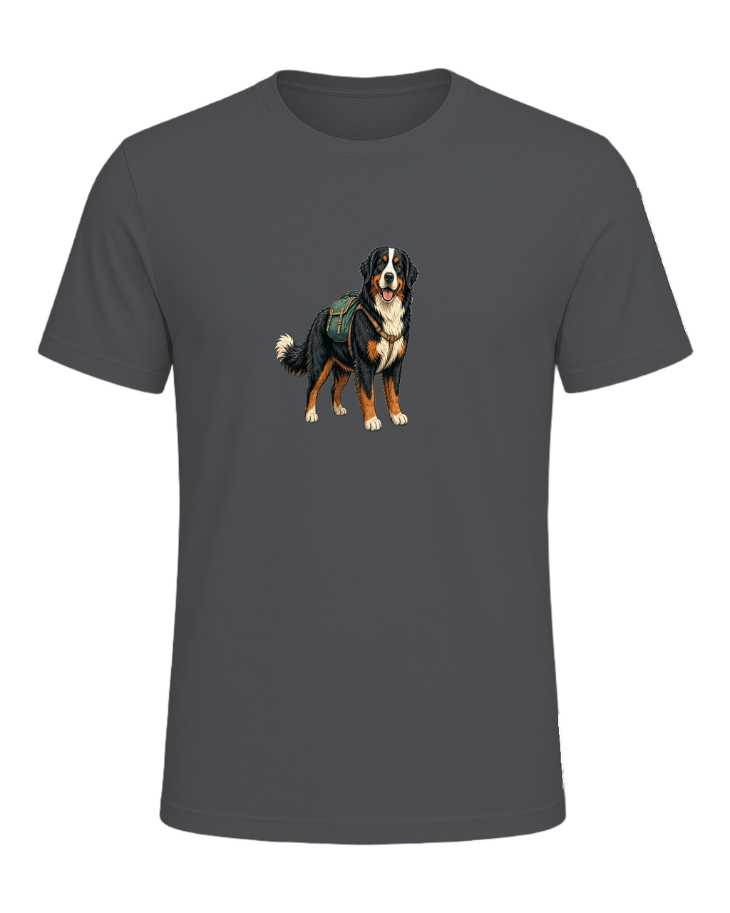 Bernese Mountain Dog Hiking — Asphalt