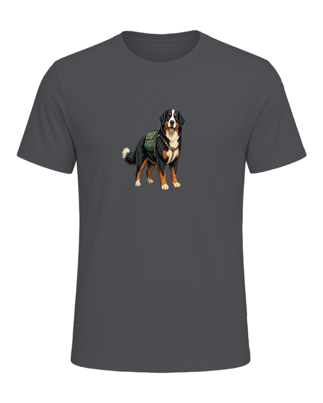Bernese Mountain Dog Hiking — Asphalt