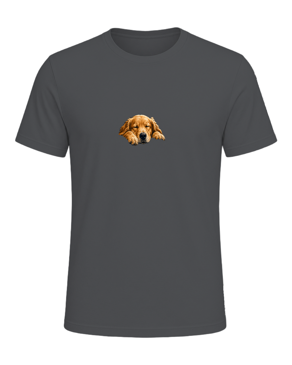 SORRY I'M LATE MY DOG LOOKED COZY — Asphalt