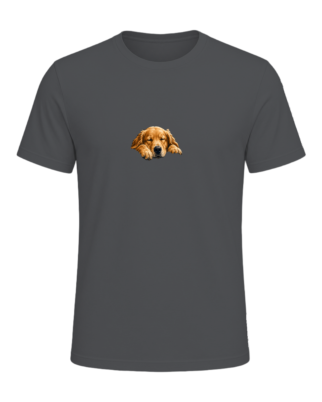 SORRY I'M LATE MY DOG LOOKED COZY — Asphalt