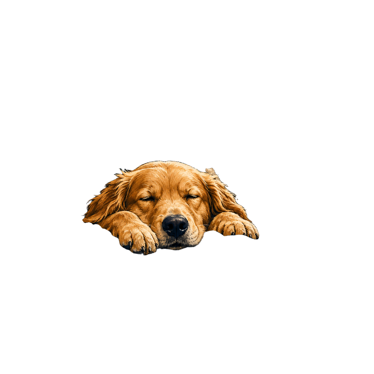 SORRY I'M LATE MY DOG LOOKED COZY