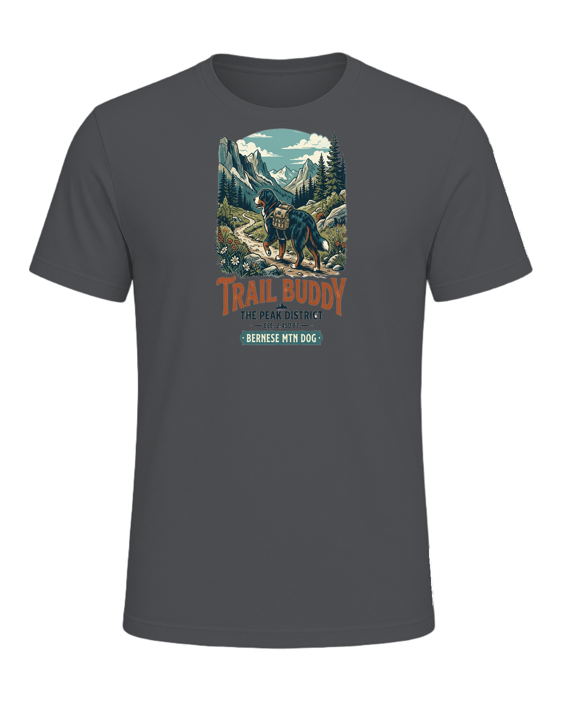 Bernese Mountain Dog Hiking — Asphalt