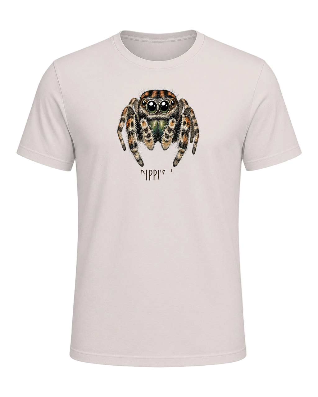 Jumping Spider Close-up Art — Heather Dust