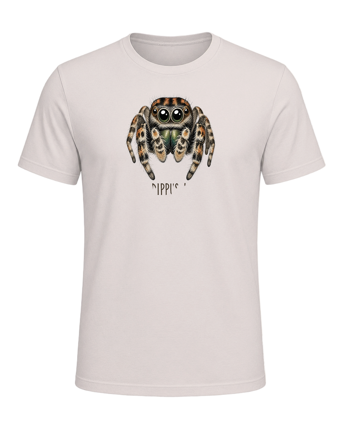 Jumping Spider Close-up Art — Heather Dust