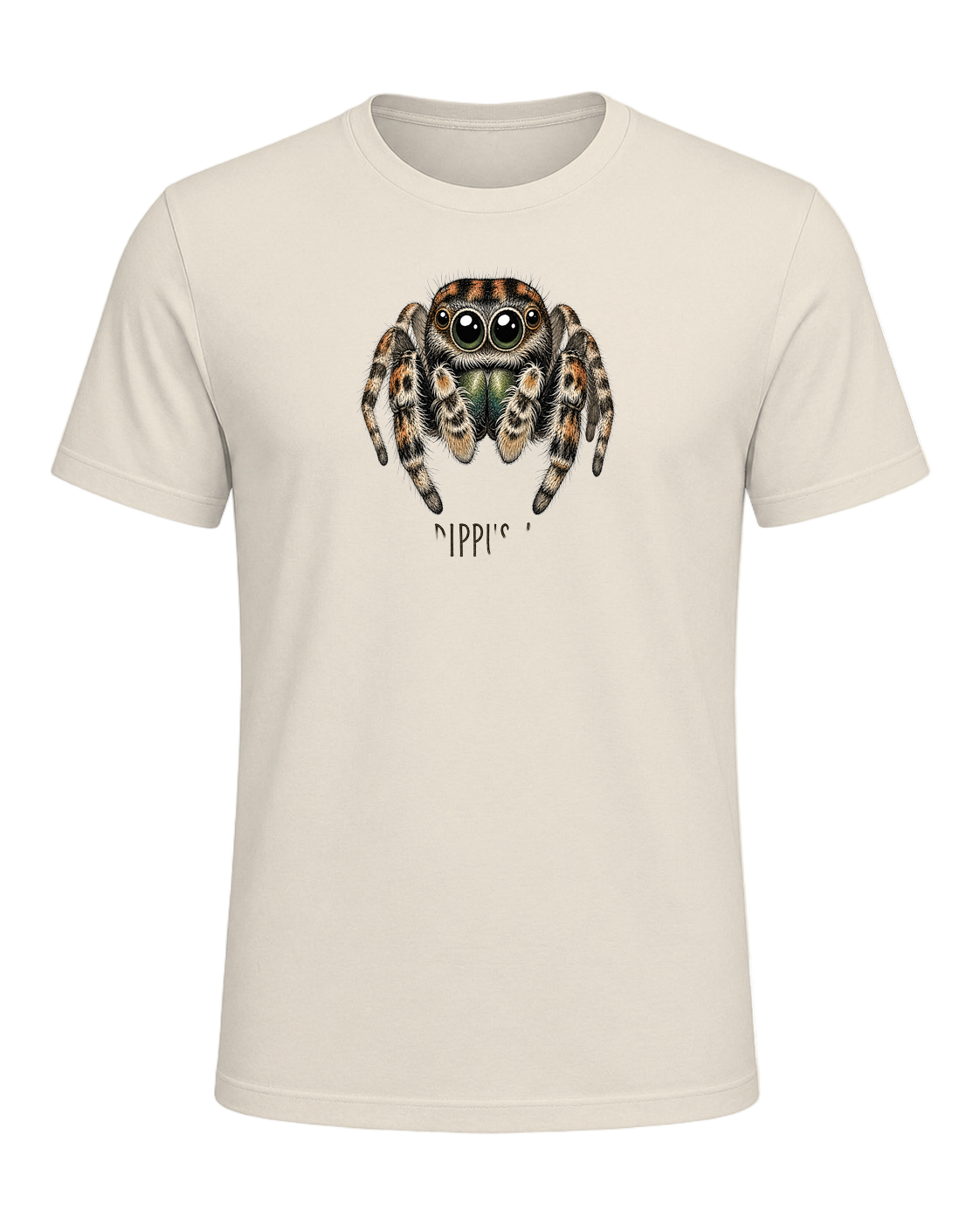 Jumping Spider Close-up Art — Heather Prism Natural