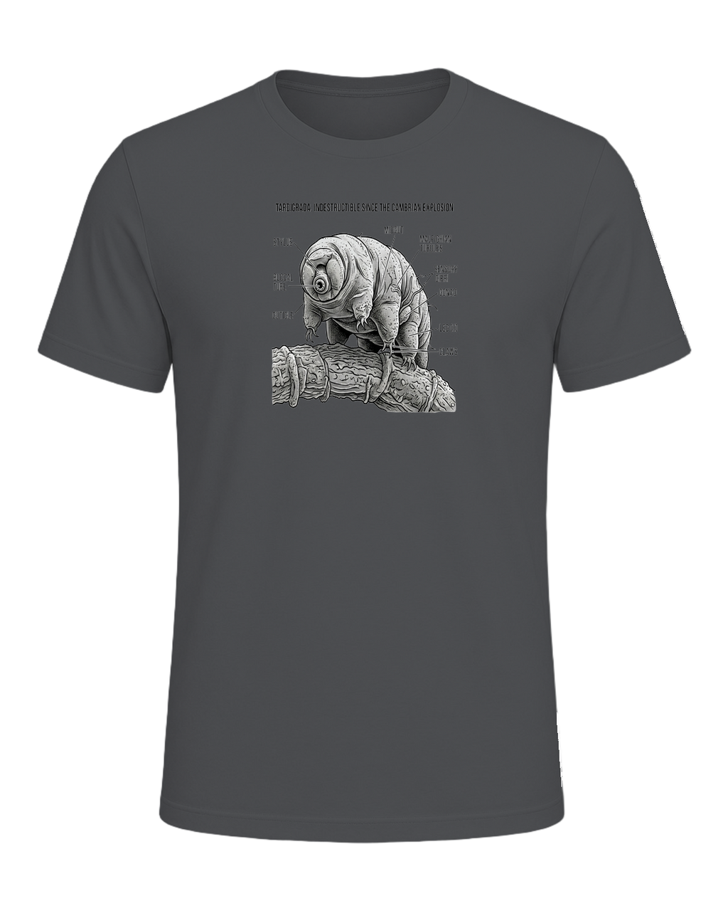 Tardigrade Science Nerd — Asphalt