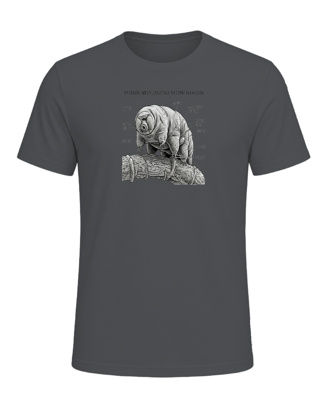 Tardigrade Science Nerd — Asphalt