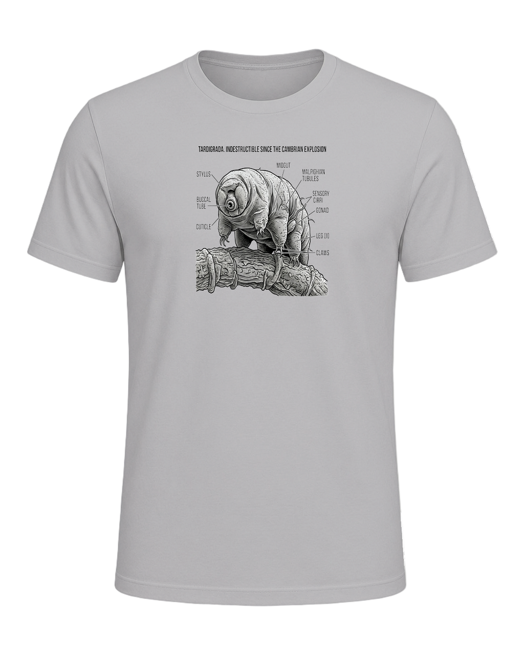 Tardigrade Science Nerd — Athletic Heather