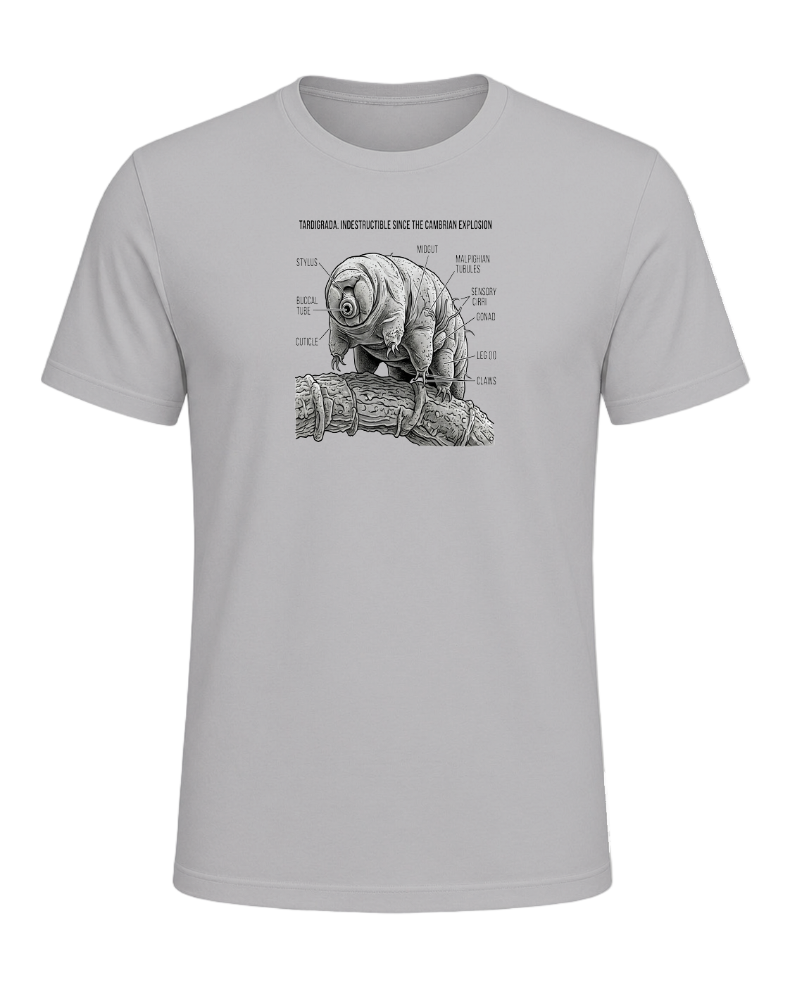 Tardigrade Science Nerd — Athletic Heather
