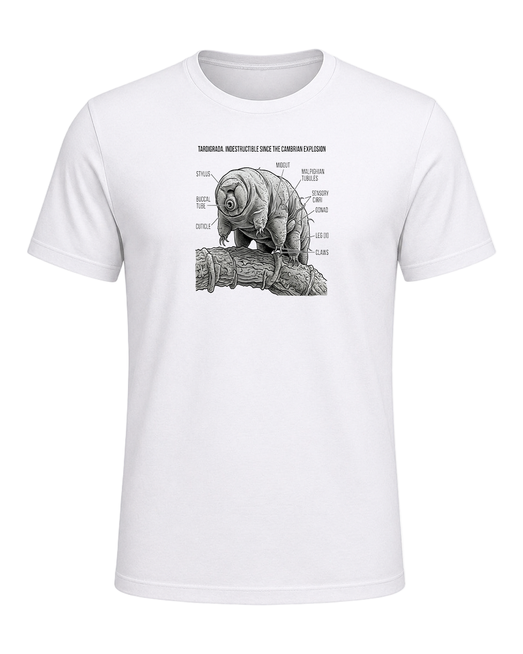 Tardigrade Science Nerd — White