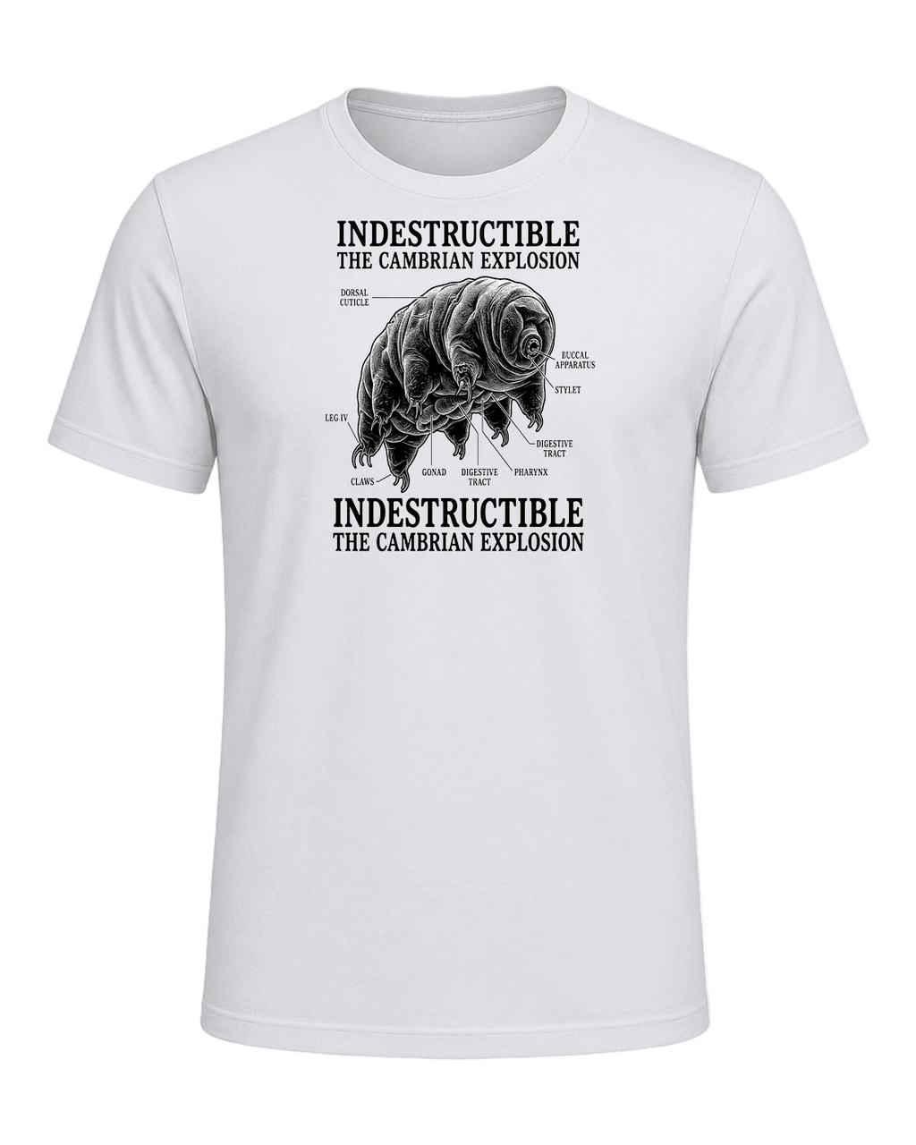 Tardigrade Science Nerd — Ash