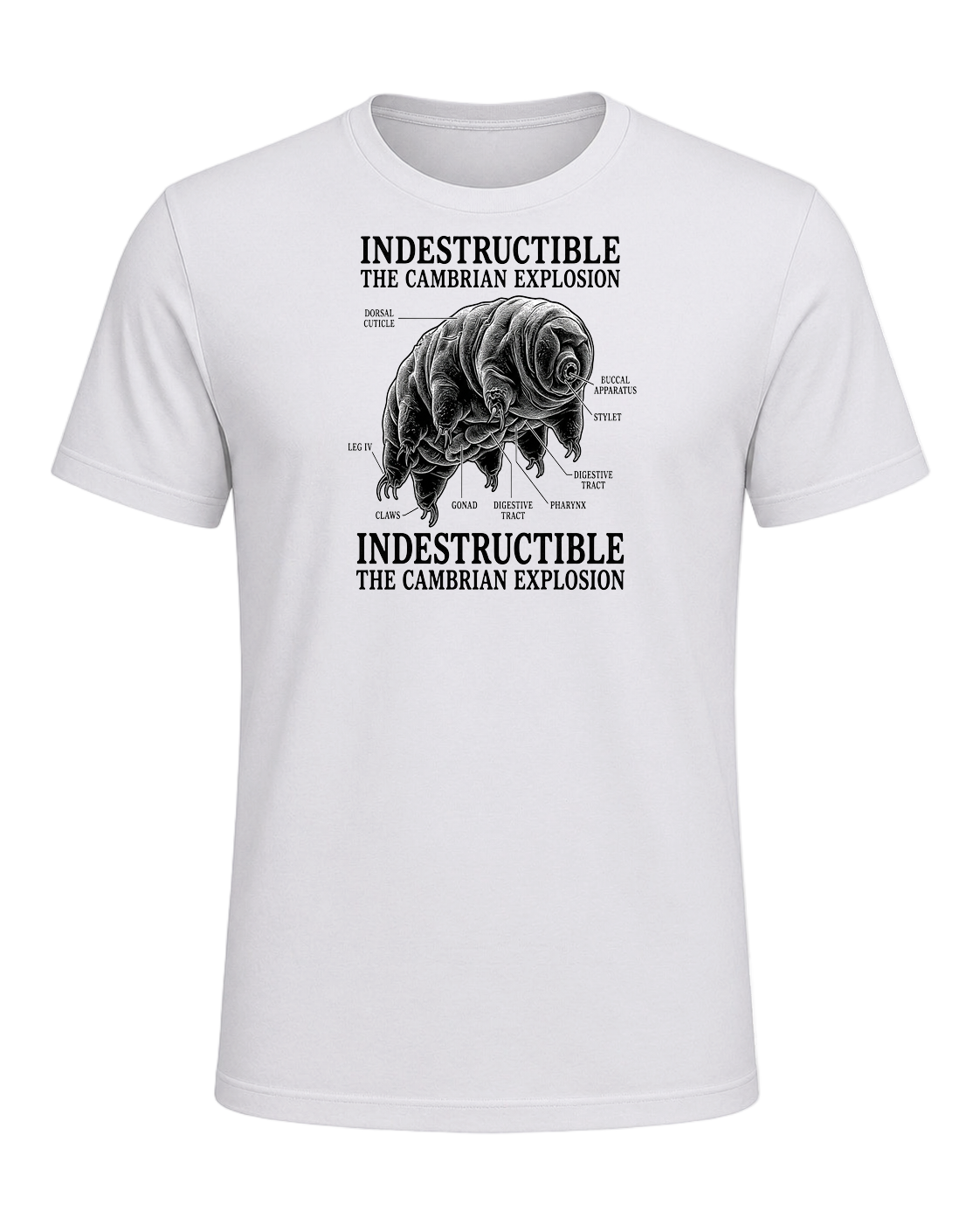 Tardigrade Science Nerd — Ash