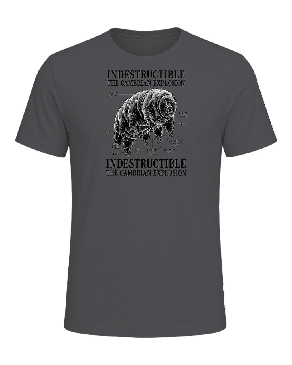 Tardigrade Science Nerd — Asphalt