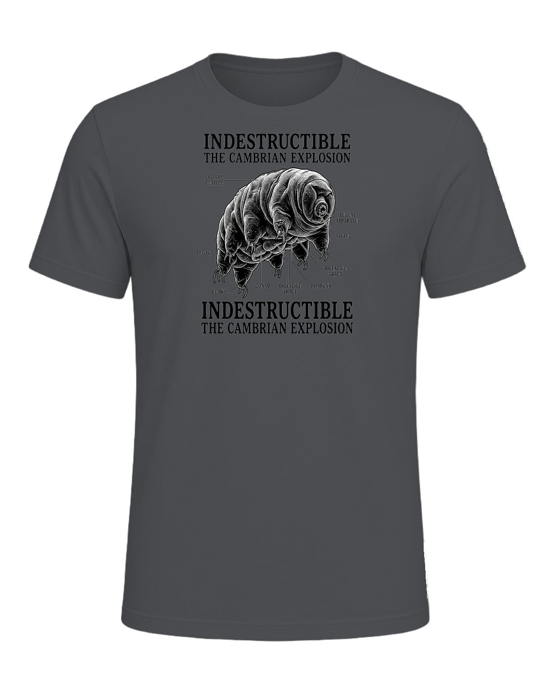 Tardigrade Science Nerd — Asphalt