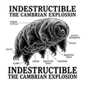 Tardigrade Science Nerd
