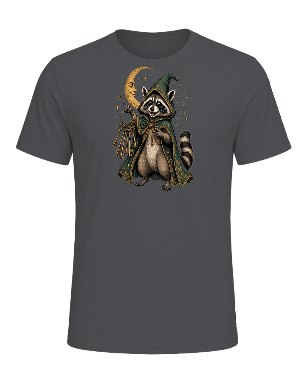 Raccoon Wizard Energy — Asphalt