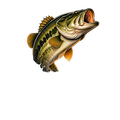 Bass Fishing Obsessed