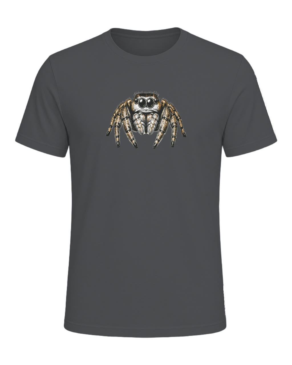 Jumping Spider Close-up Art — Asphalt
