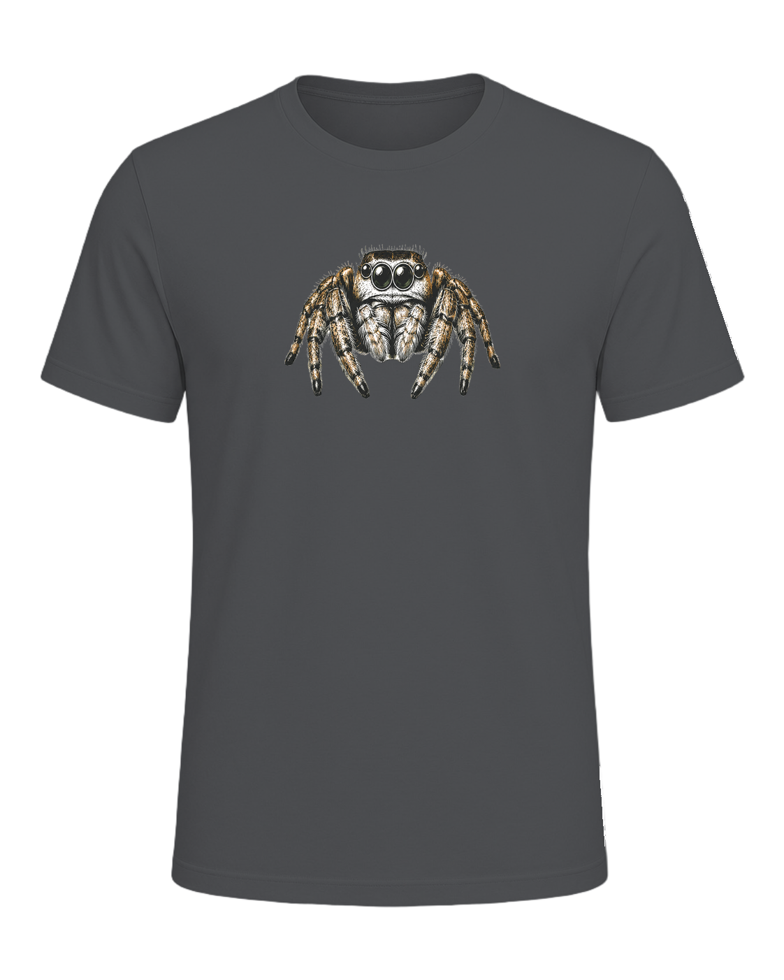 Jumping Spider Close-up Art — Asphalt