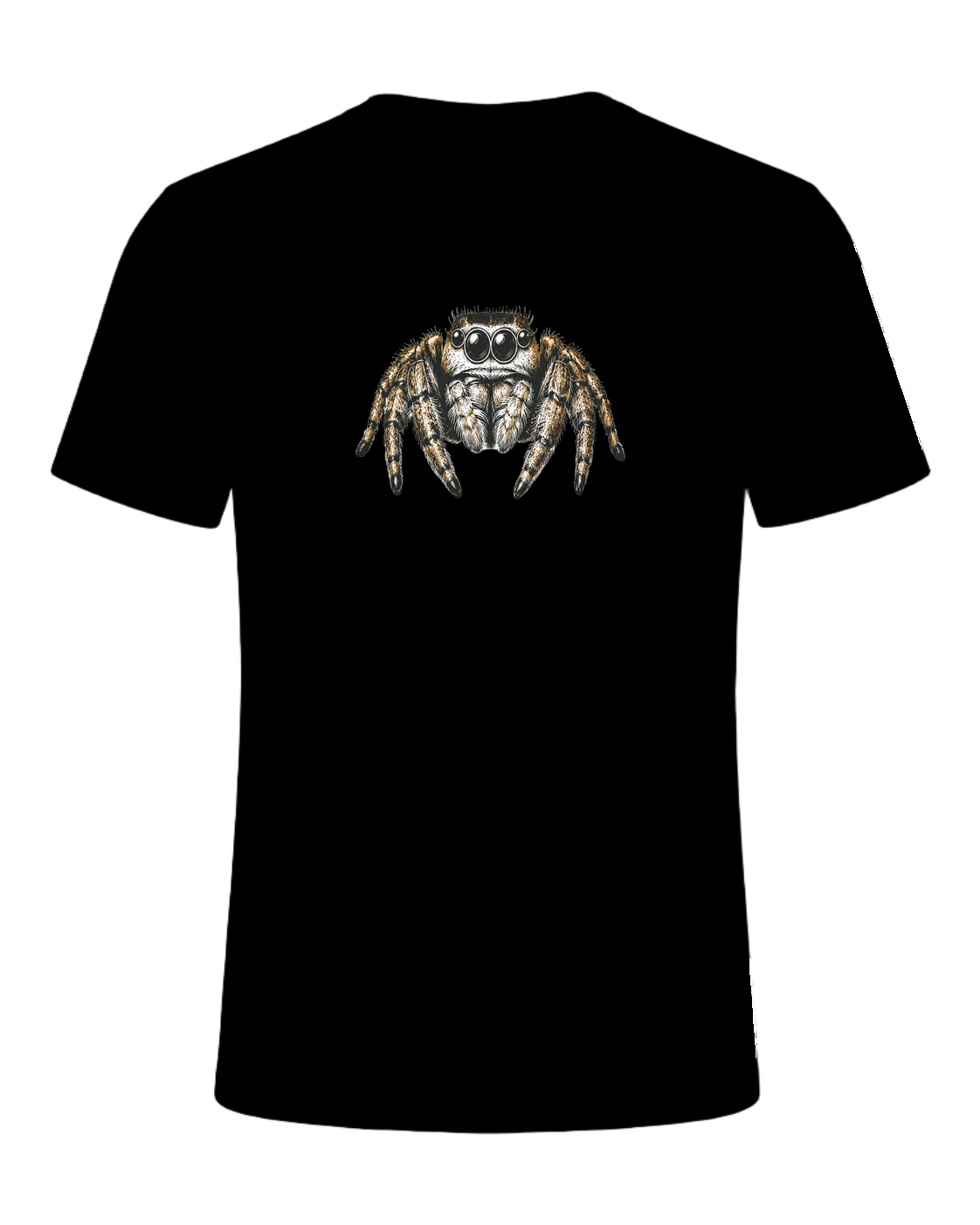 Jumping Spider Close-up Art — Black