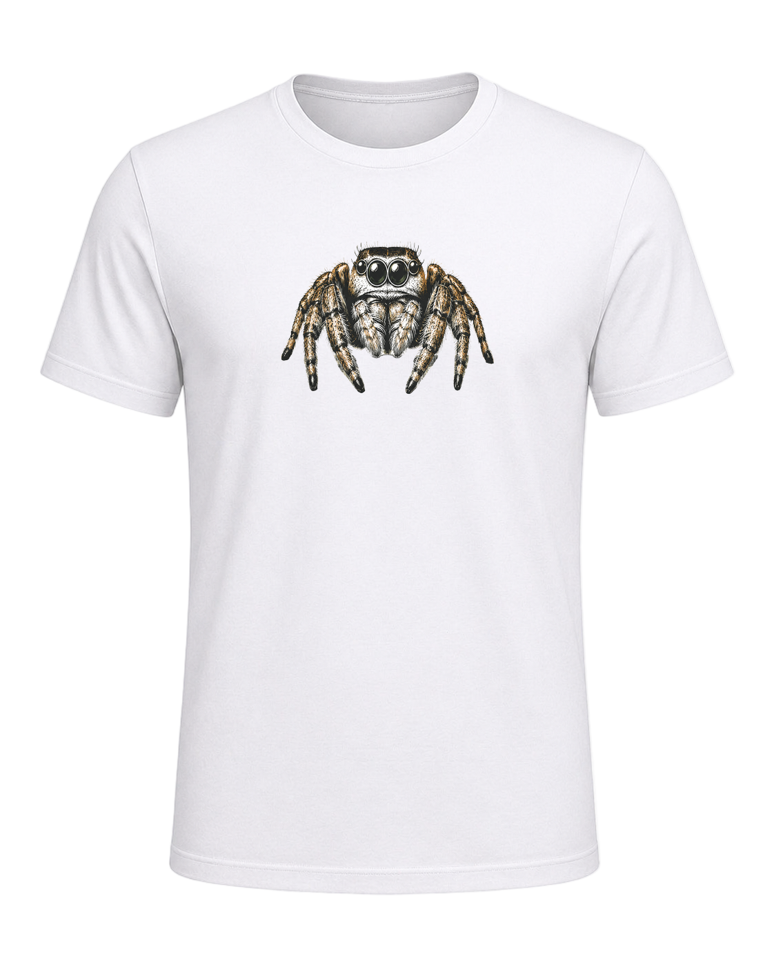 Jumping Spider Close-up Art — White