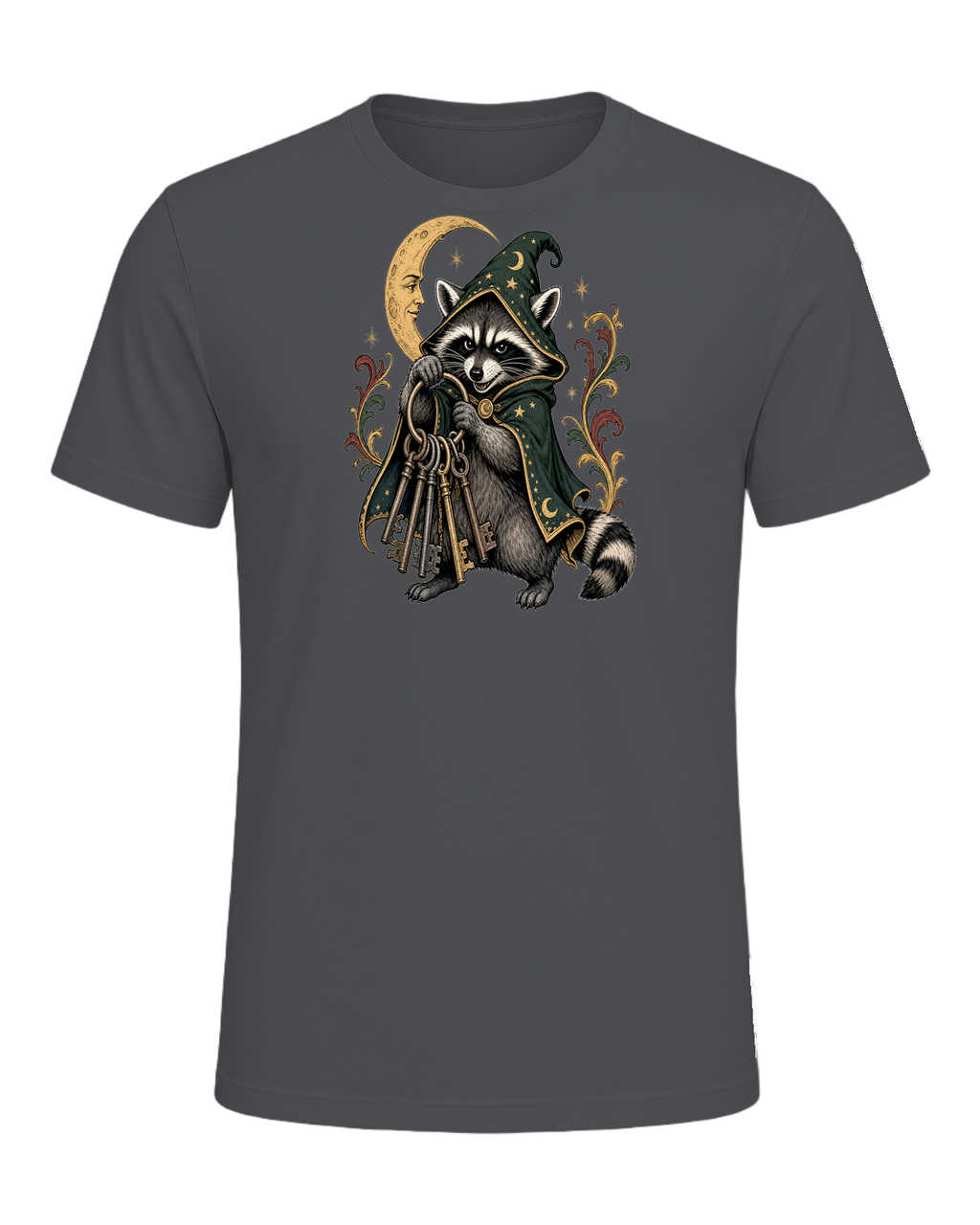 Raccoon Wizard Energy — Asphalt