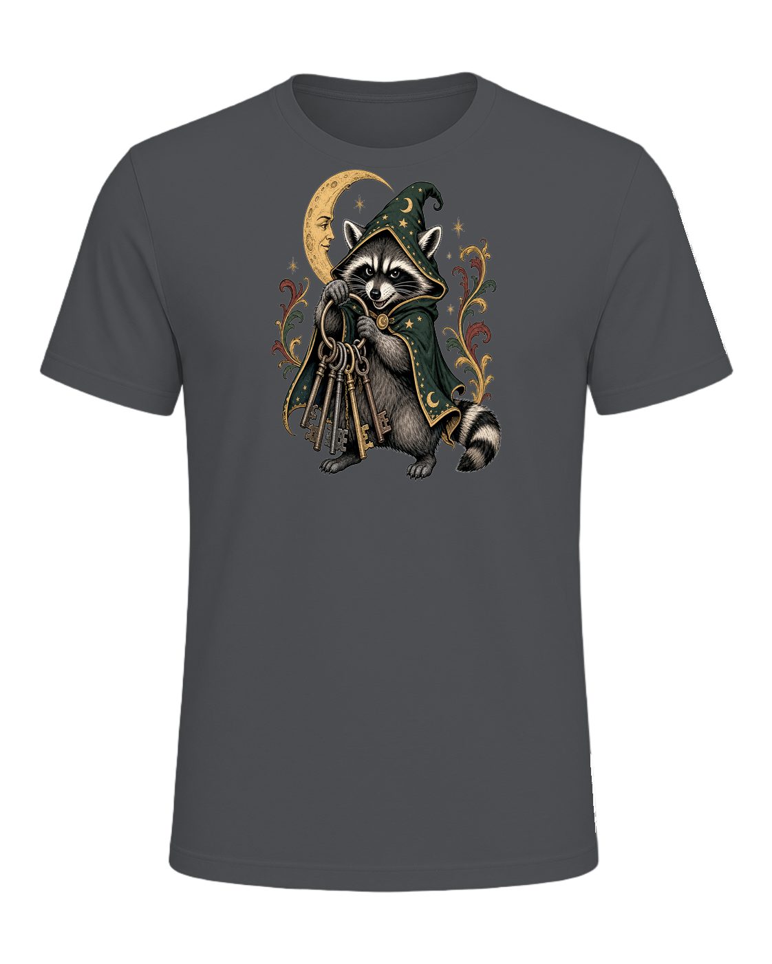 Raccoon Wizard Energy — Asphalt